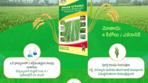 NACL Agro Chemicals for Modern Agriculture | Insecticides
