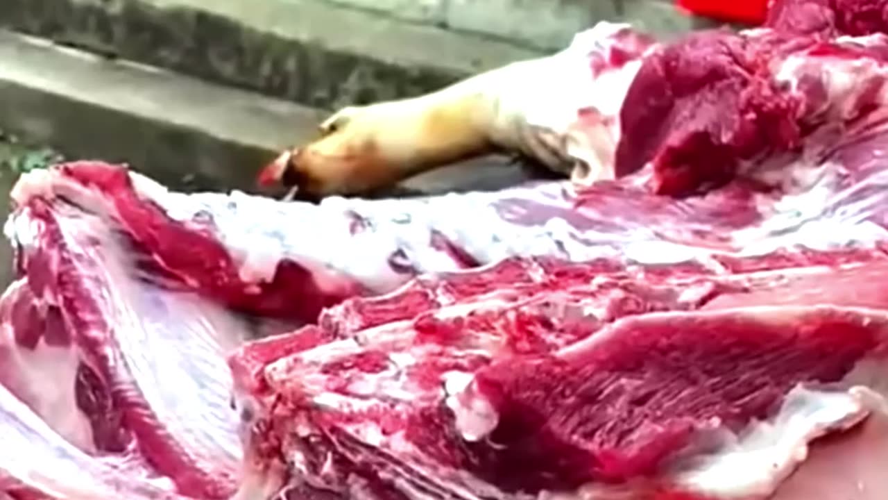 Is Pork Slowly Killing You?