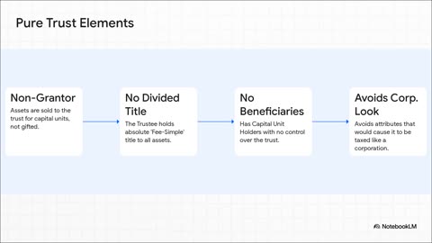 NBLMV 25 18 The Untapped Power of the Business Trust
