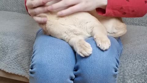 Wstydziłam się przyznać do błędu, wiec zjadłam... - komiczna sytuacja z życia :)