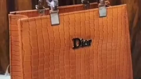 MEGA Ladies Handbags 2026 | YSL, LV & Coach Inspired Luxury Haul | Fashionholic New Arrivals