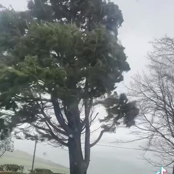 Grand Solar Minimum 2020-2053