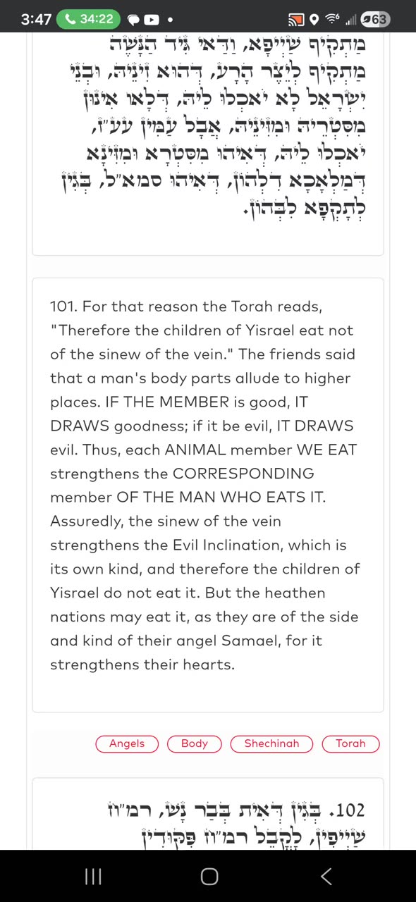 NOON ZOHAR. YIRAH HA'ARI 👑. The Sinew of the Vein. (VAYISHLACH 7) 11/1/25