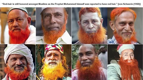 WHY MANSA MUSA WAS WHITE