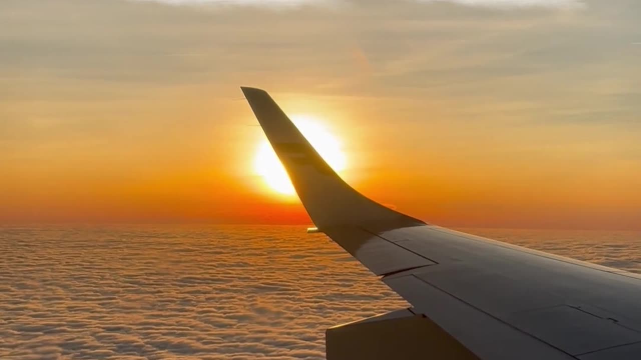 ⚡ Don’t Rush Your Rise: Bloom Stronger After The Storm 🌤️