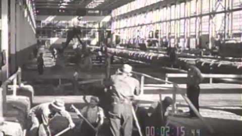 FORD YEAR, THE. PART 4 - FORD YEAR, THE. PART 4 - fc-fc-1134