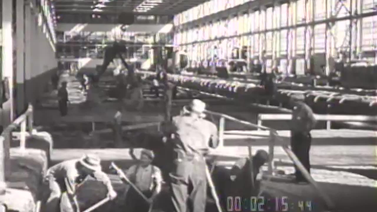 FORD YEAR, THE. PART 4 - FORD YEAR, THE. PART 4 - fc-fc-1134