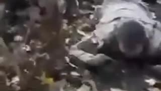 Our stormtroopers captured another group of Kyiv regime militants