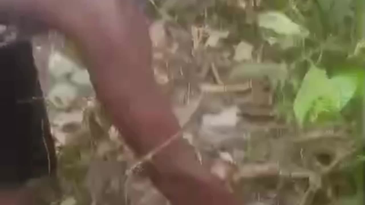 Local Vigilante Clearing Eziawa's Rural Bushes