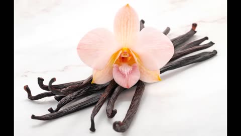 Lord Winter - Vanilla