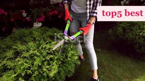 Best Cordless Hedge Trimmers Of 2025