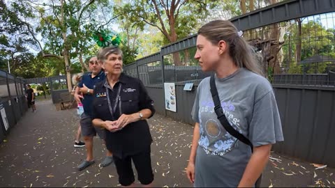 🐨🇦🇺 Amazing Discovery in Port Macquarie: Koala Hospital! 🇦🇺🐨