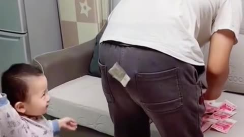 funny videos