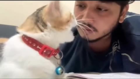 See how cats are taught to talk 😲😲