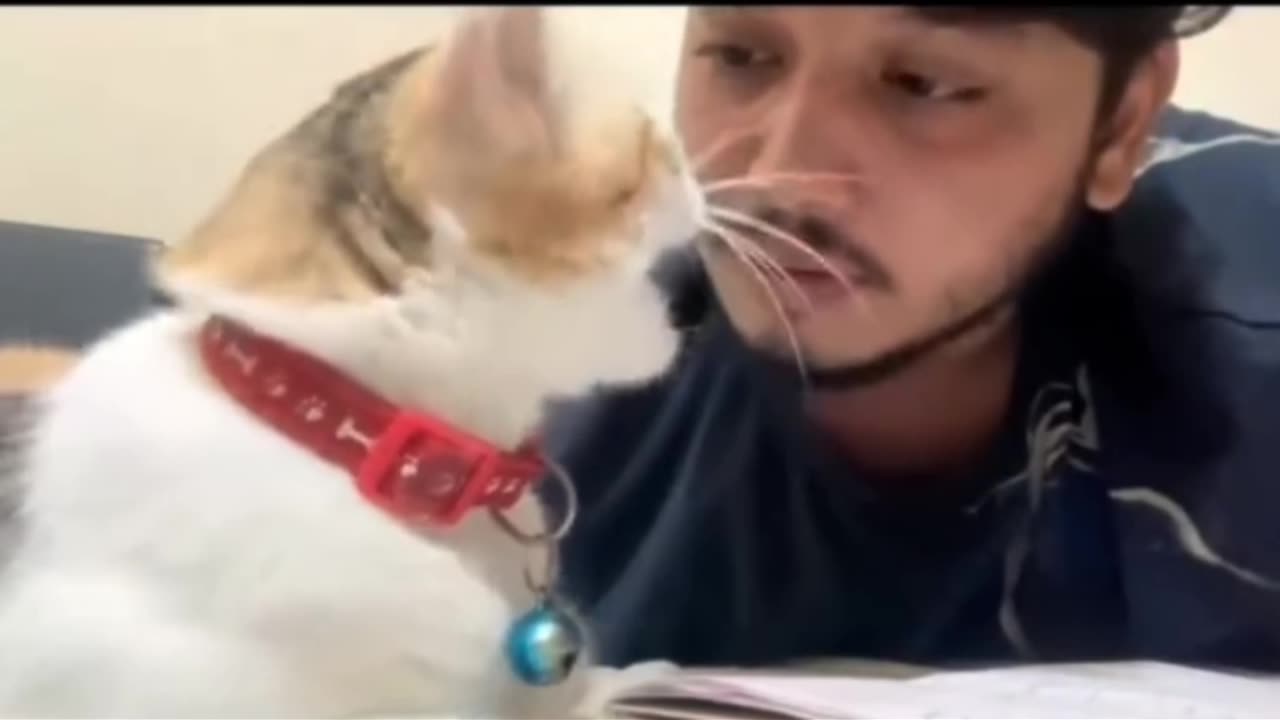 See how cats are taught to talk 😲😲