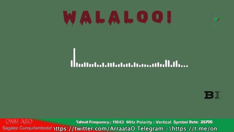 Qophii Walaloo ONM-ABO Amajjii 17-2025 itti dhiyaadhaa!