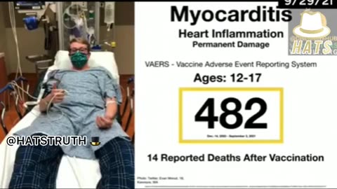 COVID 19 Vaccine Ingredients