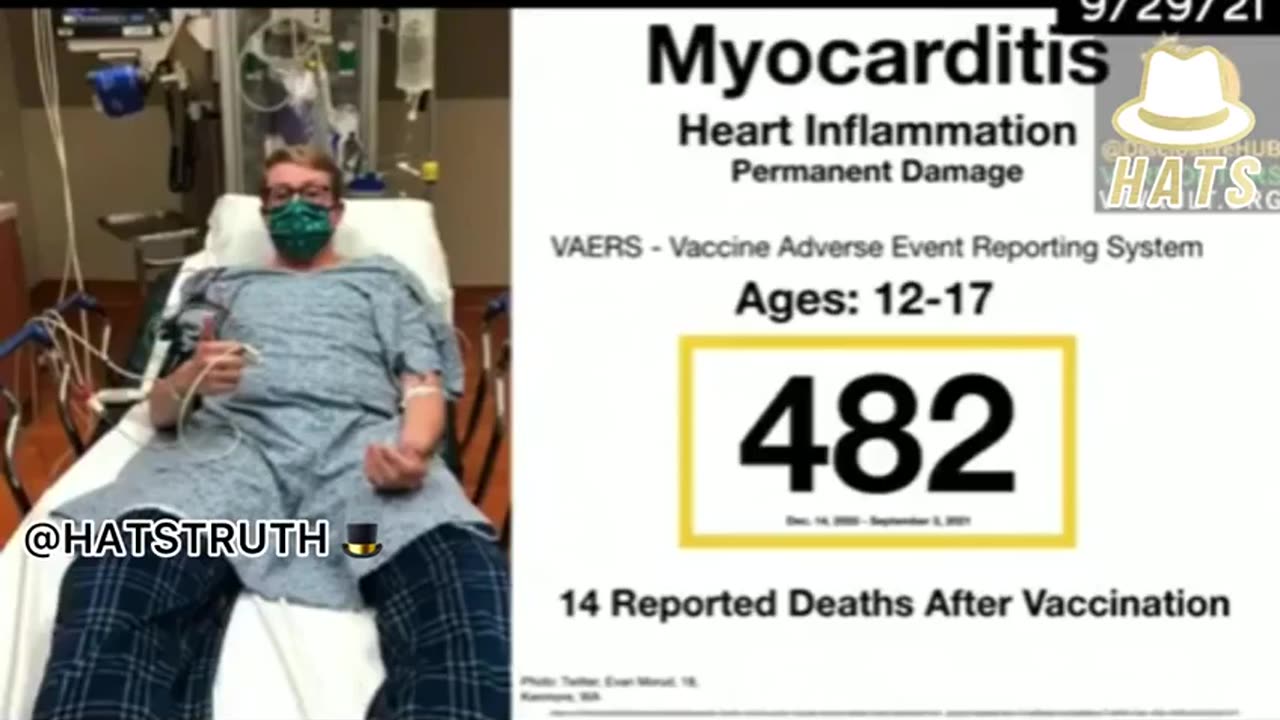 COVID 19 Vaccine Ingredients