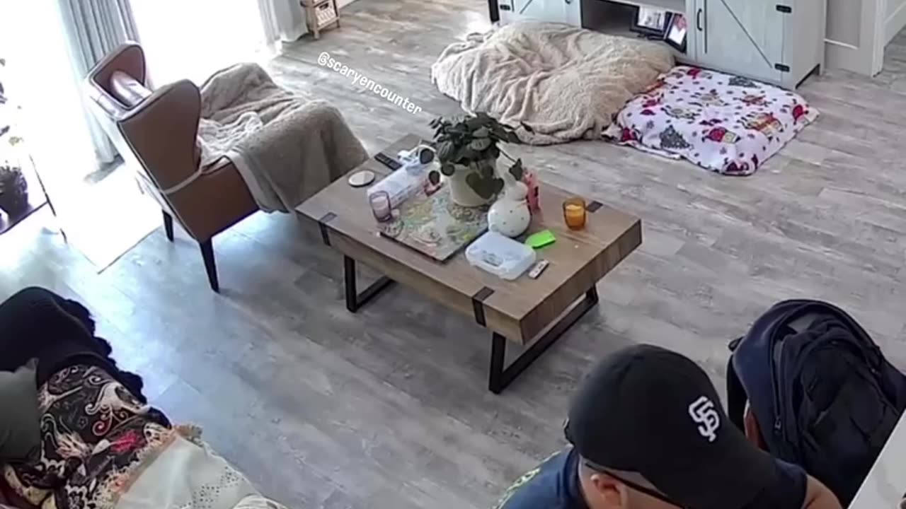 A man was working at home when he suddenly heard...