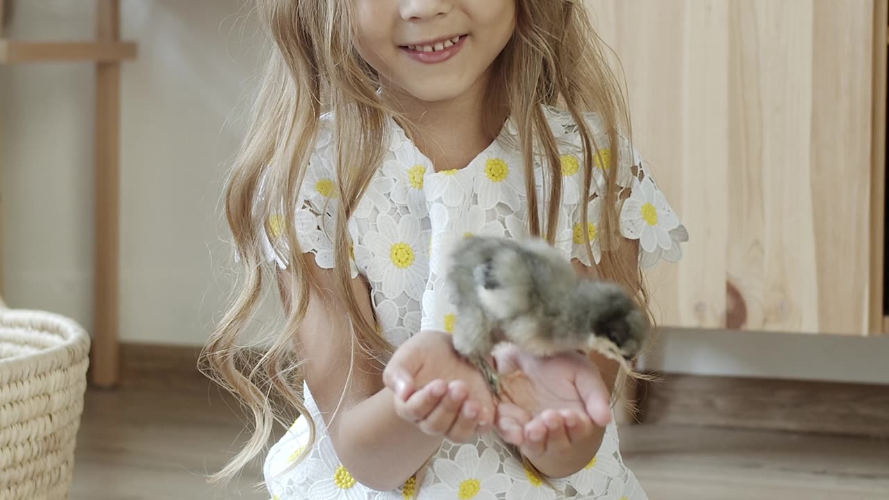 A Cute Girl Holding a Chick