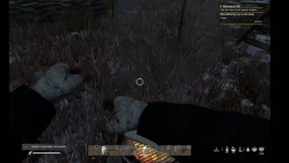 DayZ PVE