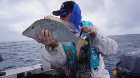 CHEAP LURE vs Great Barrier Reef