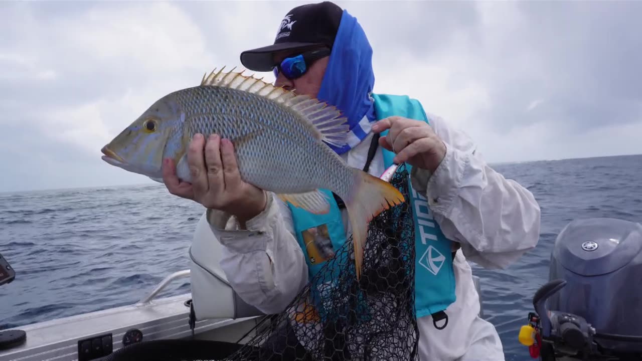 CHEAP LURE vs Great Barrier Reef