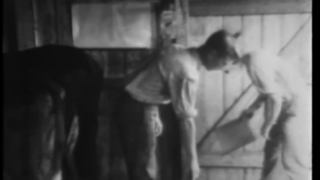 WEIGHED IN THE BALANCE - WEIGHED IN THE BALANCE - 33-241-r2