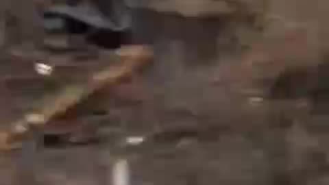 What Remains of Russian Lines Near Vovchansk