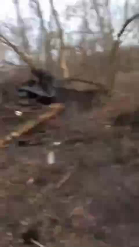 What Remains of Russian Lines Near Vovchansk