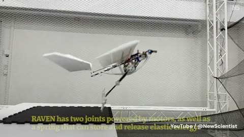 robot birds coming soon if they’re not here already…