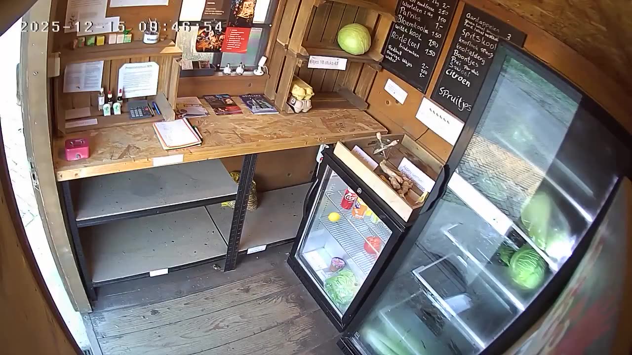 Yet another local farm stand got plundered by migrants