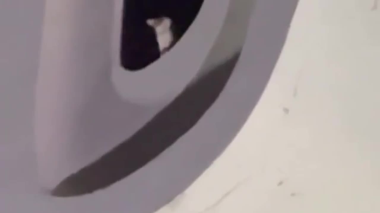 🤯🐱 Cat Spotted Sitting on Top of Bolivia’s 132-ft Statue! | FeedMyCuriosity