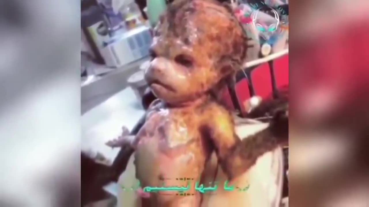 The Horrendous Results of Chimeric Eugenicists