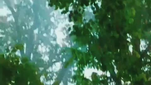 #Gaon Ki Barish Yad A Rahi Hai 👌👌🙏🙏