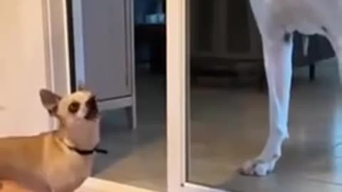 😮 How Quickly The Tone Changes... | FunFM