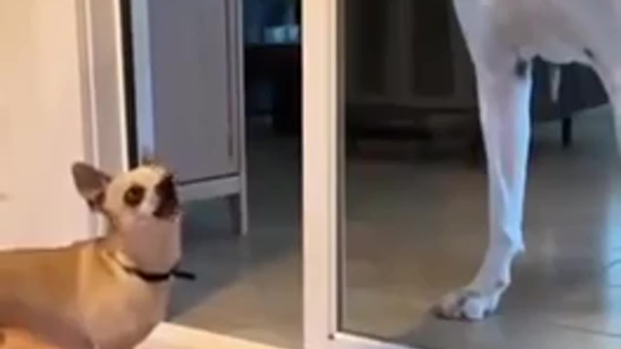 😮 How Quickly The Tone Changes... | FunFM