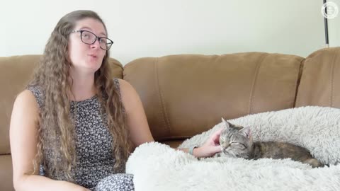 🤯😻 Watch This 14-Year-Old Cat Purr Loudest in the World! | FeedMyCuriosity