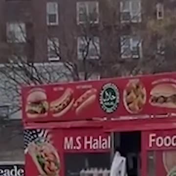 NYC Halal Food Cart Worker Filmed Catching Pigeon with Bare Hand Before Taking It into Kitchen
