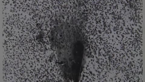 🛸📜 NARA Releases Shocking Roswell 1947 Footage! | TheTruthAbove