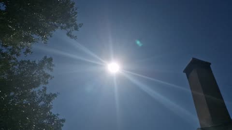 Detox Day 1: No Alcohol, nicotine, caffeine or cooked foods