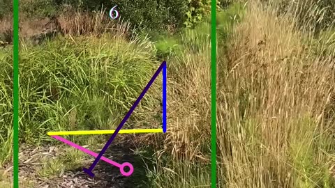 The Balance Of Wisdom | Path and Tarot Reading