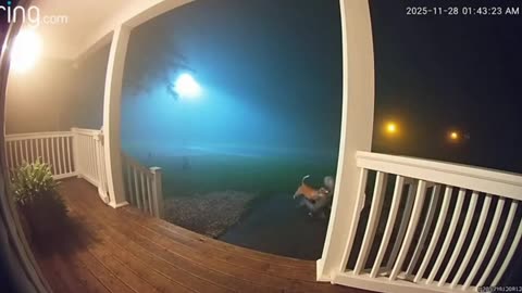 PITBULL SLEEPING GETS ATTACKED RING CAM