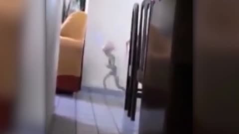 Alien in the House