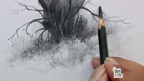 How to draw Tree with Bushes with Charcoal Pencil sketching and shading