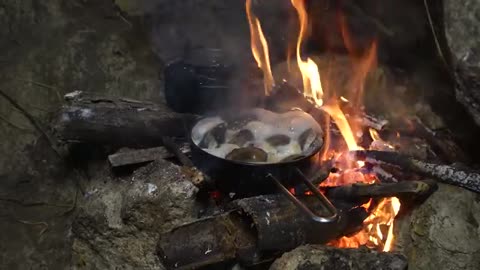 10 DAY SOLO SURVIVAL IN THE RAIN FOREST RELAXING IN THE SHELTER WITH THE SATISFYING SOUND