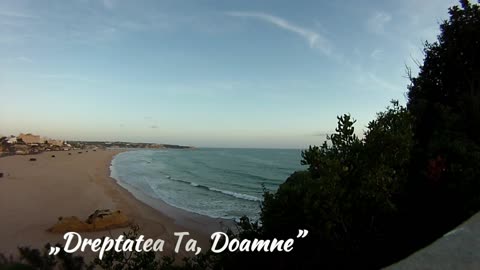 Mihaela CD - Versuri