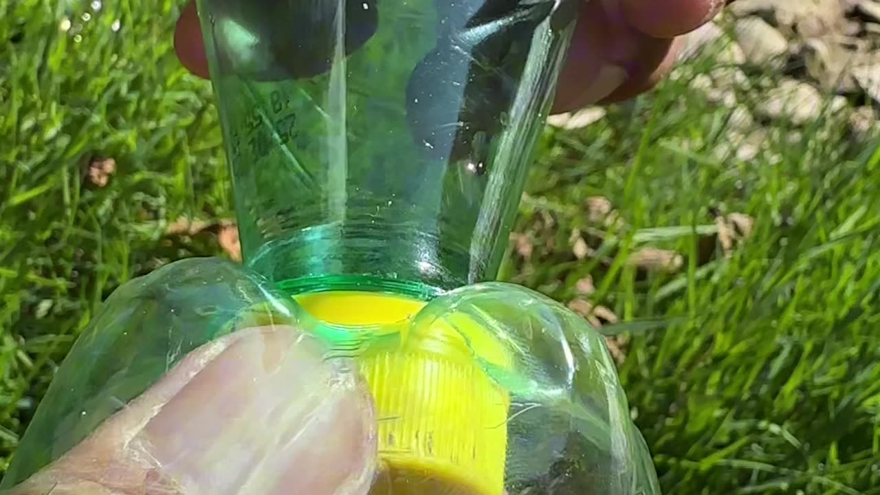 Bushcraft Trick: Improvised Wine Glass