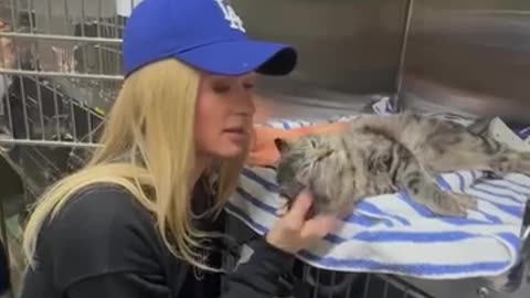 #parishilton Junto a la fundación #pasadenacalifornia #humanesociety Rescata animales!