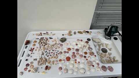 Beach Finds 10/8/2025 | 4K